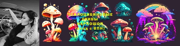 круглые Алексеевка