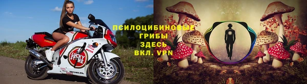круглые Алексеевка